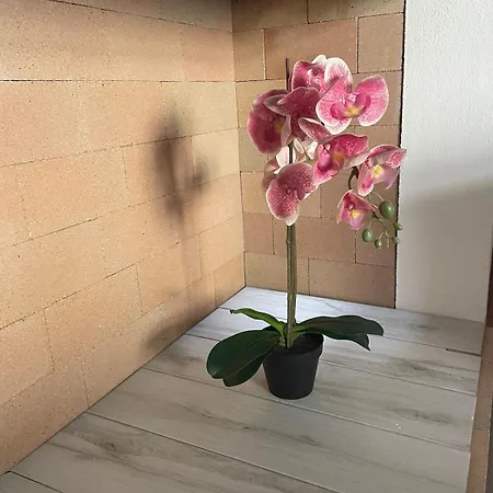 Apartment Casa Dalia Cagliari